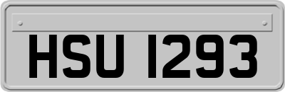 HSU1293