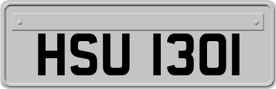 HSU1301