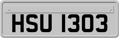HSU1303