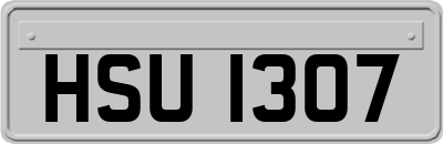 HSU1307