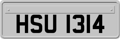 HSU1314