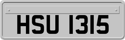 HSU1315