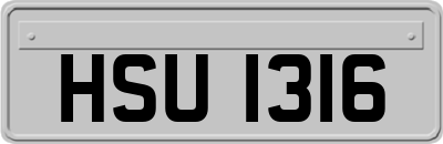 HSU1316