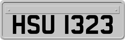 HSU1323
