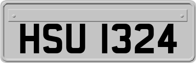 HSU1324