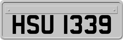 HSU1339