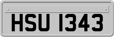 HSU1343