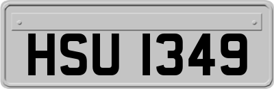 HSU1349