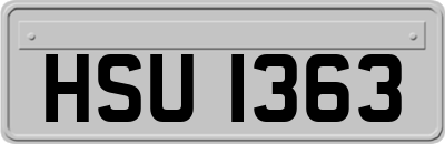 HSU1363