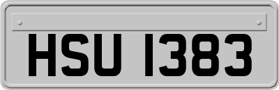 HSU1383