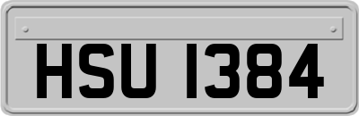 HSU1384