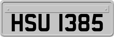 HSU1385