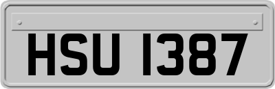 HSU1387