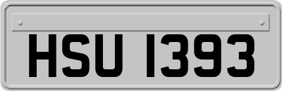 HSU1393