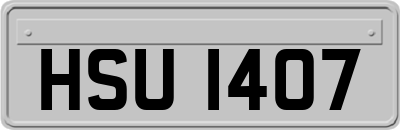 HSU1407