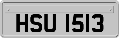 HSU1513