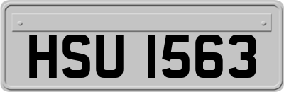 HSU1563