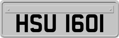 HSU1601