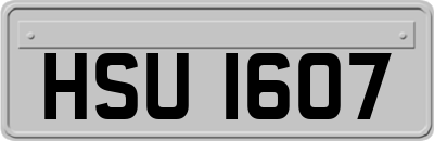 HSU1607