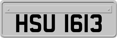 HSU1613