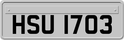 HSU1703