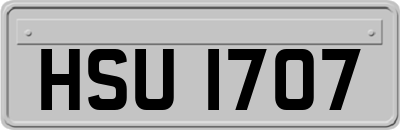 HSU1707