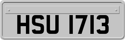 HSU1713