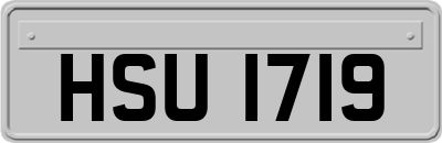 HSU1719