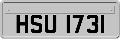 HSU1731