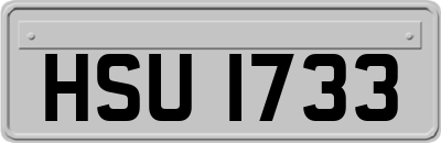 HSU1733