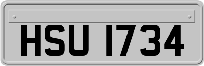 HSU1734