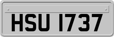 HSU1737