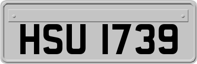 HSU1739