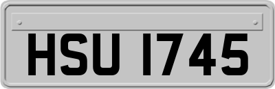 HSU1745
