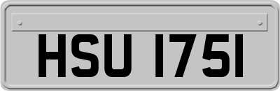 HSU1751