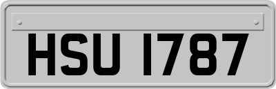HSU1787