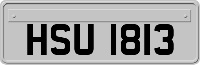 HSU1813
