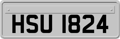 HSU1824