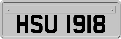HSU1918