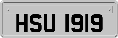 HSU1919