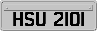 HSU2101