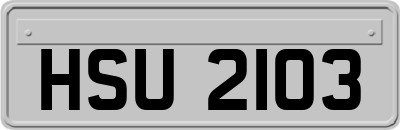 HSU2103