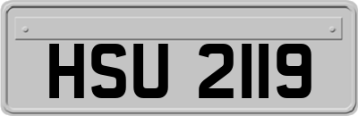 HSU2119
