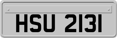 HSU2131