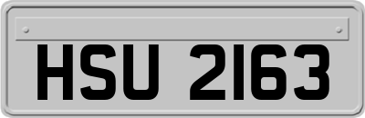 HSU2163