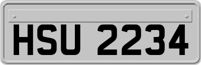 HSU2234
