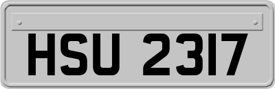 HSU2317