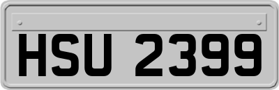 HSU2399