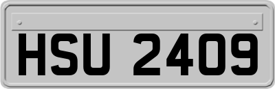 HSU2409