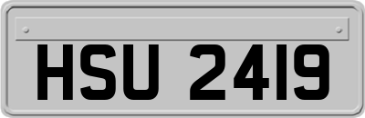HSU2419